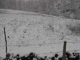foto neve del 9 Dicembre 2003 5